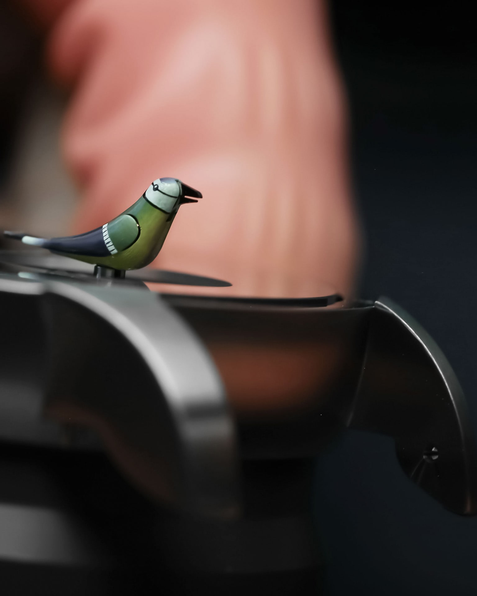 Charming Bird Titanium